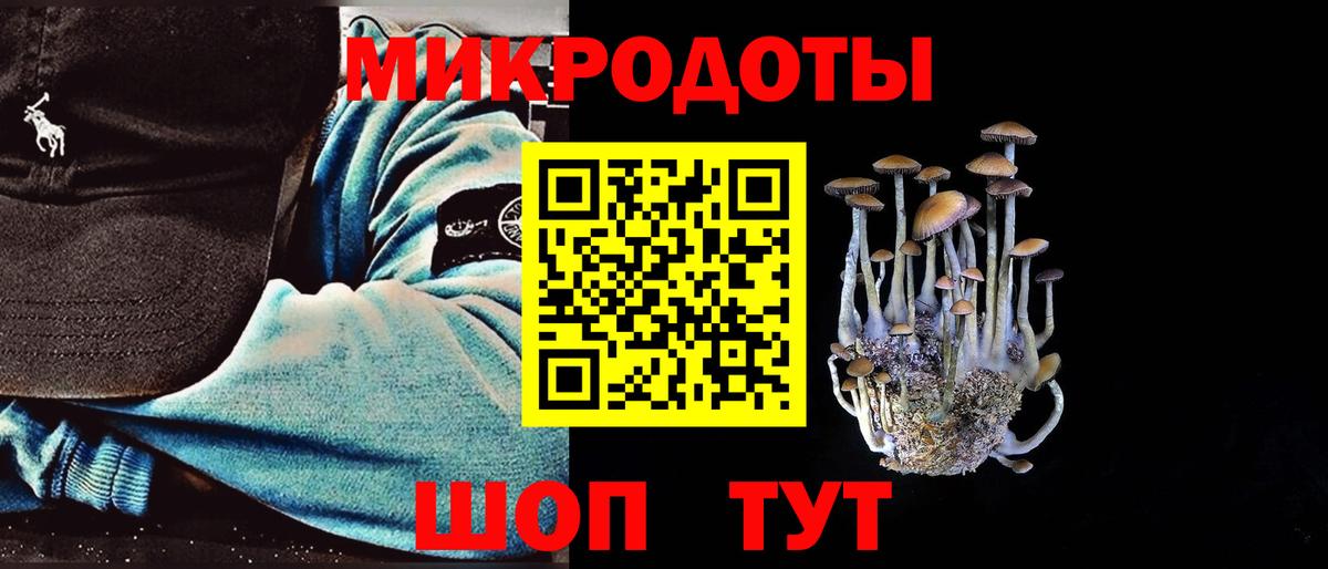 Псилоцибиновые грибы мухоморы Карачаевск